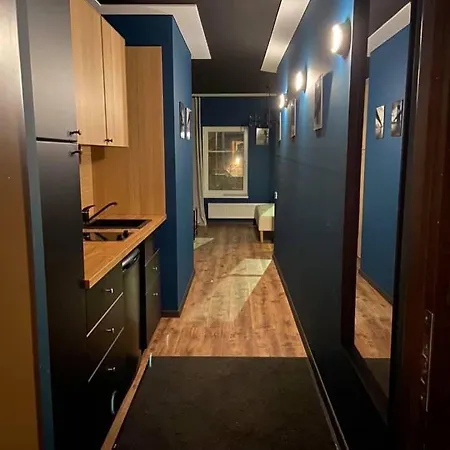 Apartment In Kaunas