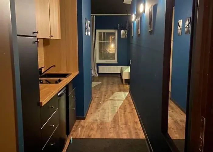 Appartement In Kaunas